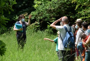 RANDONNÉE MILLE PATTES DANS LA VILLE ET LE PARC - 12 JUIN 2021